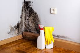 Best Residential Mold Inspection & Testing  in Sedalia, MO